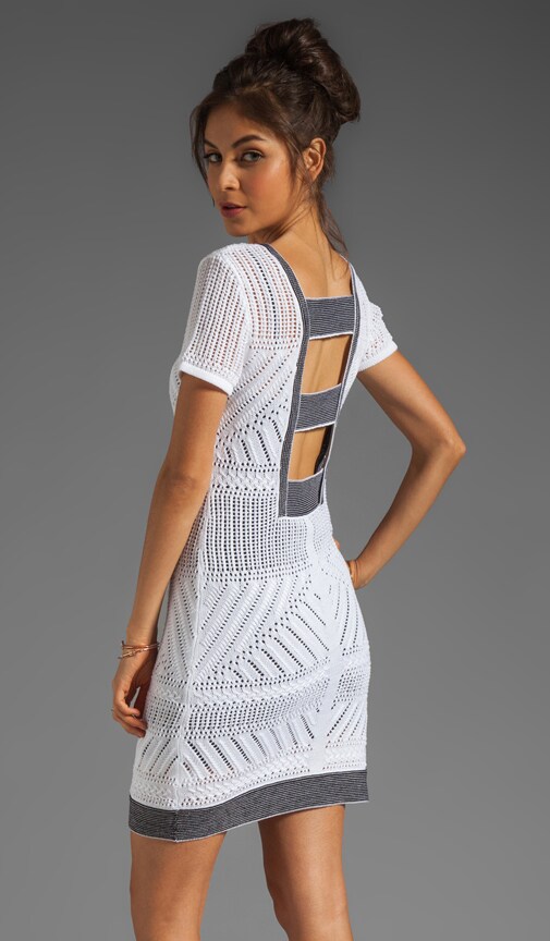 Runway Crazy Wild Dress