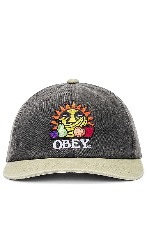Shop Obey Pigment Fruits 6 Panel Snapback In Pigment Black Multi