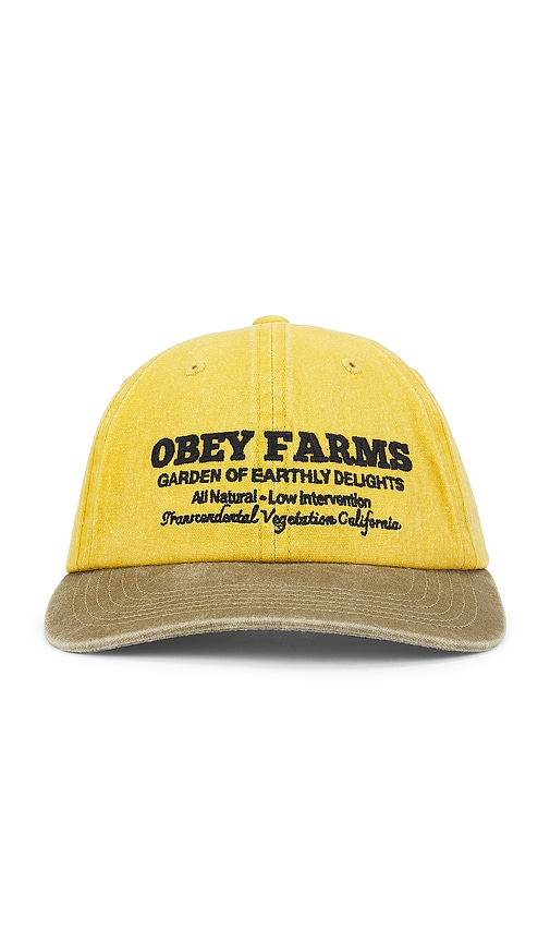 Farms 6 Panel Strapback Cap in - Obey - Modalova