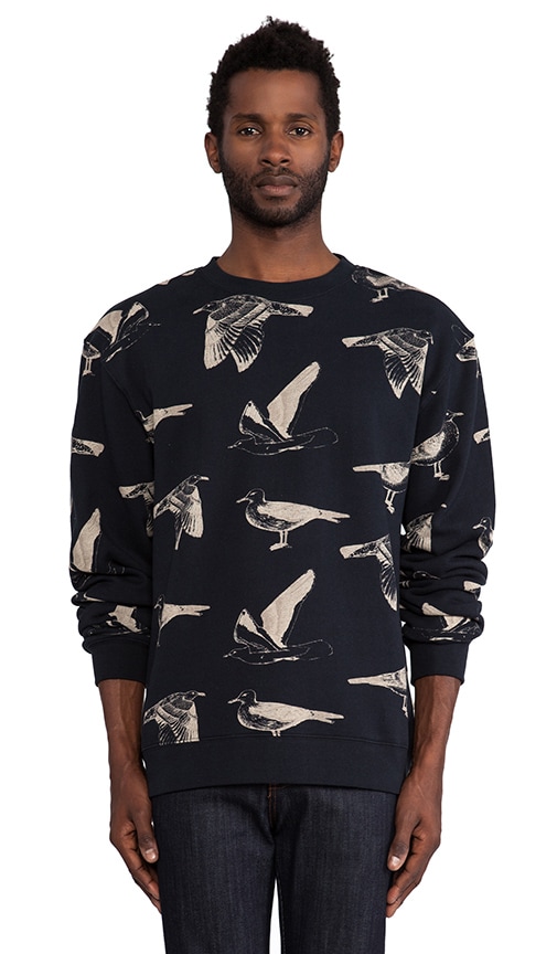 Seagull Crew