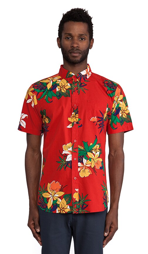 Tourist Button Down