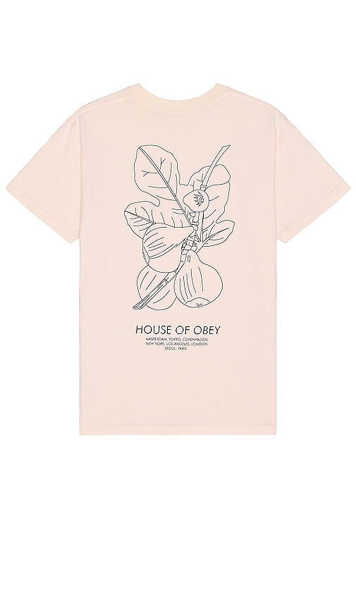 Obey Fig Tee In Cream