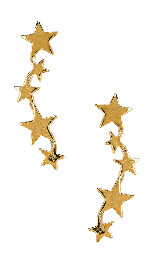ENREDADERAS CONSTELLATION