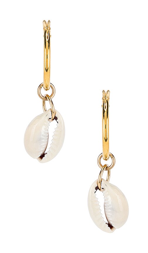 Cowrie Hoop