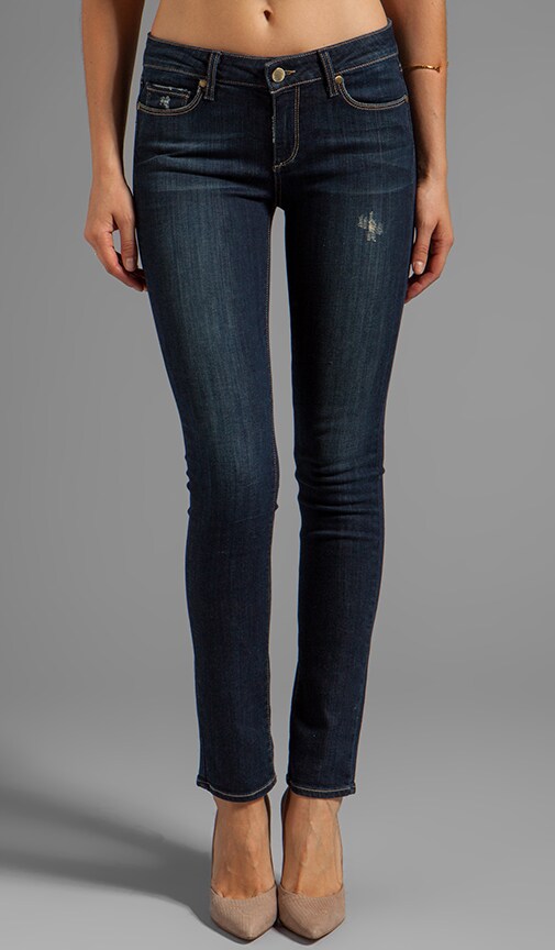 Denim Skyline Skinny