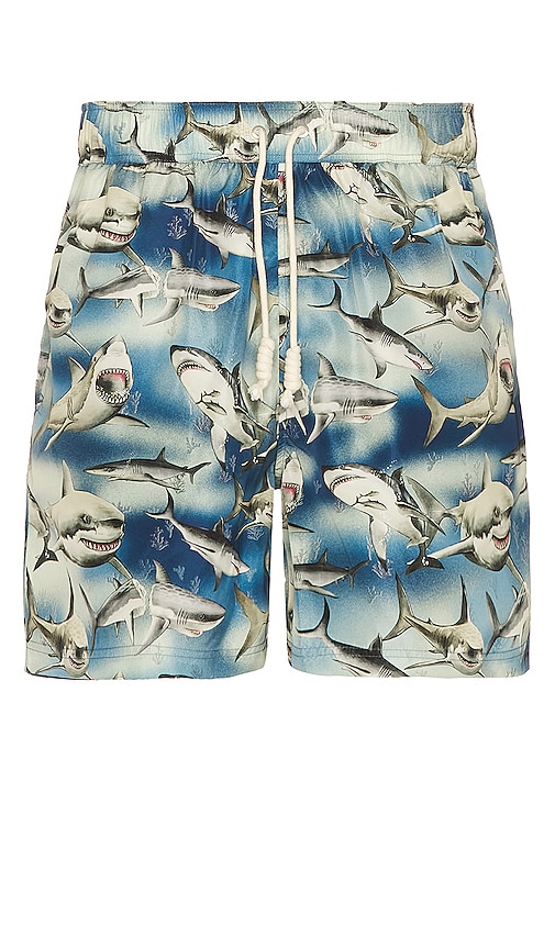 Palm Angels Man Printed Polyester Sharks Swimming Shorts In Blue