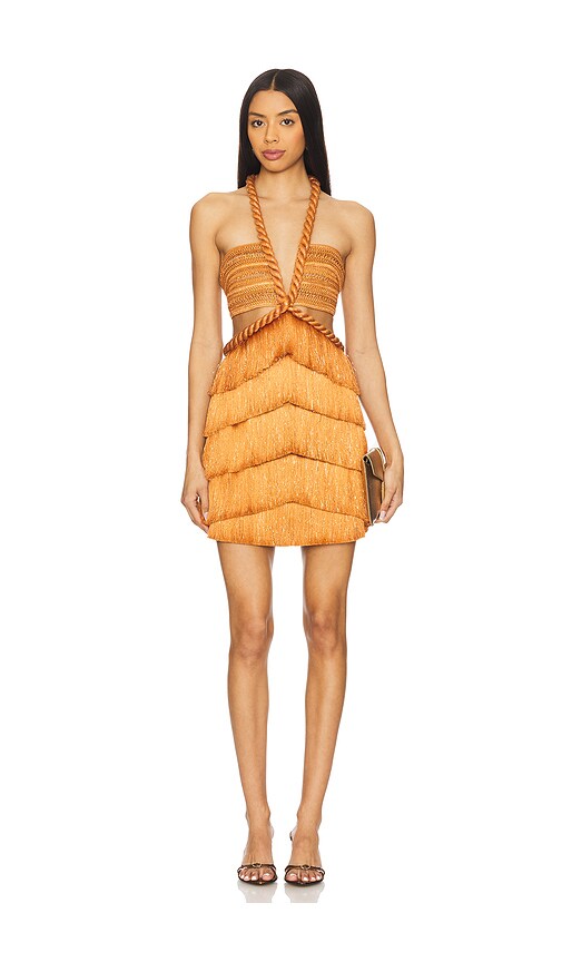 Pampas Fringe Mini Dress