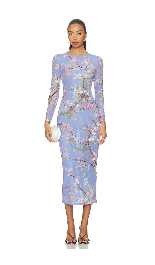 Patbo Delicata Embroidered Tulle Midi Dress In Multi