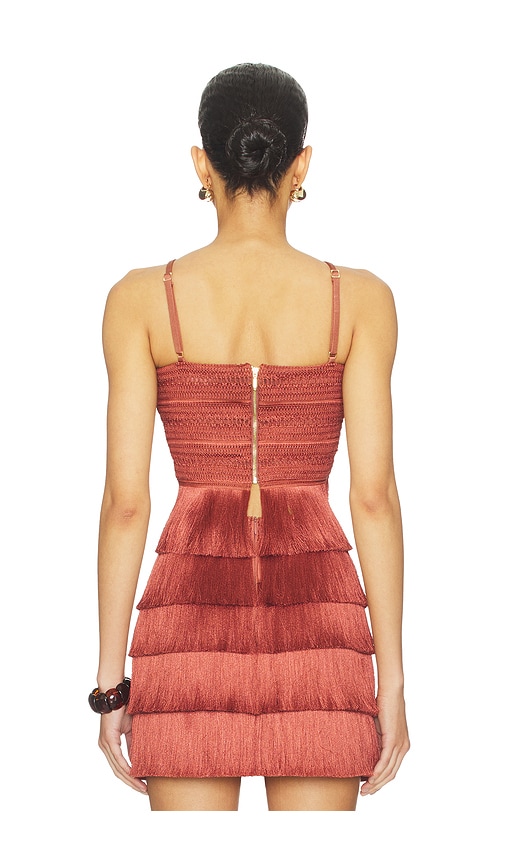  Patbo Amethyst Fringe Top In Rust. Size 0. Also In 10. 