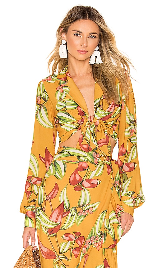 Zebrina Print Tie Front Cropped Top