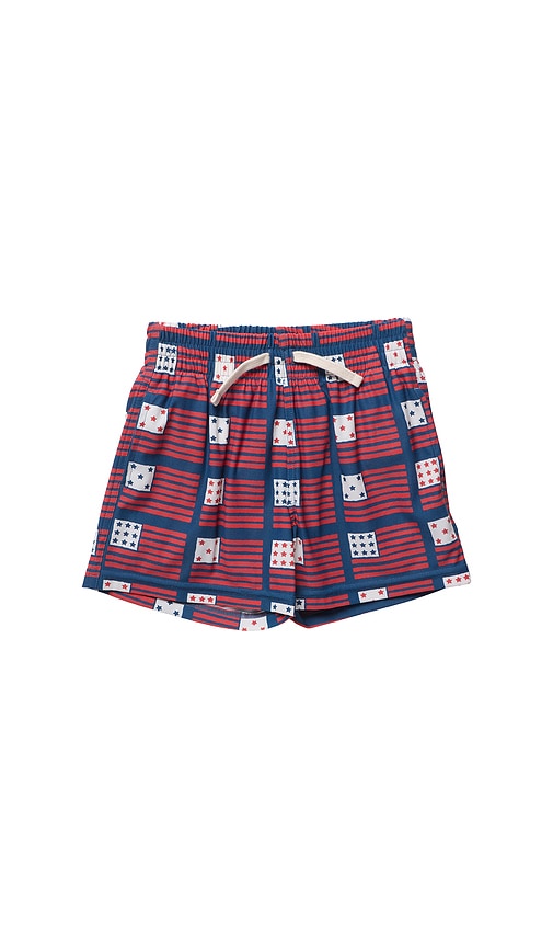 Pink Chicken Boys Swim Trunk | Thumbnail 3 Pink Chicken Boys Swim Trunk | Thumbnail 3