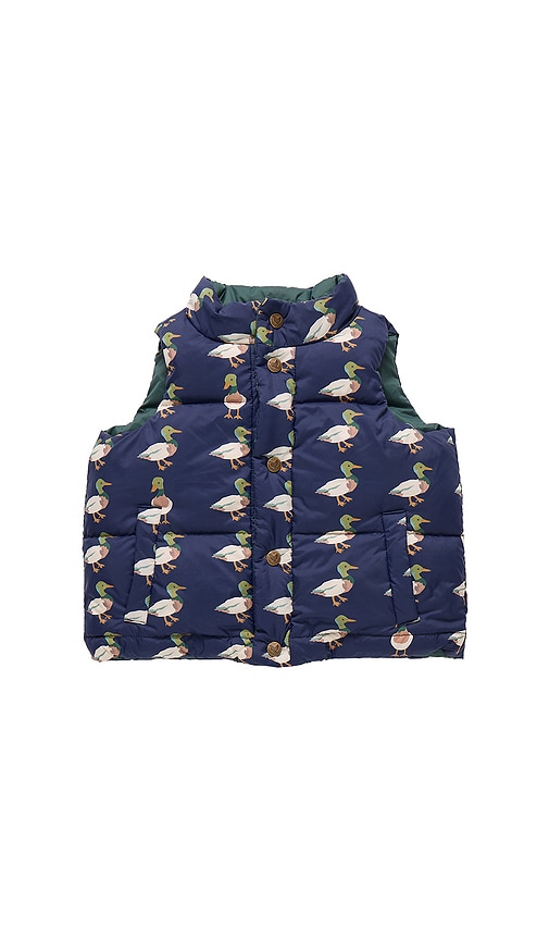 Pink Chicken Ellis ȃœå¿ƒ €“ Evergreen Stripe. Űºç � 4 (also €“ 2, 3, 5, 6). In Green