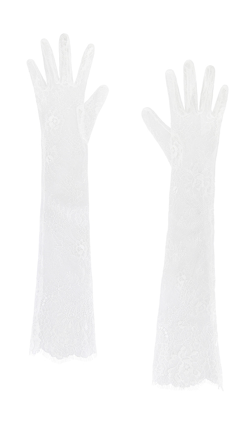 Petit Moments Lace Opera Gloves In White