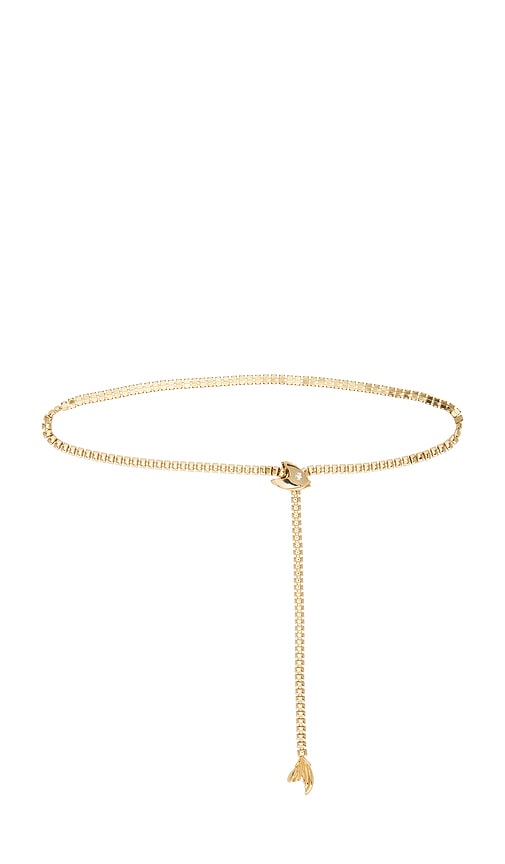 Fishbone Belt