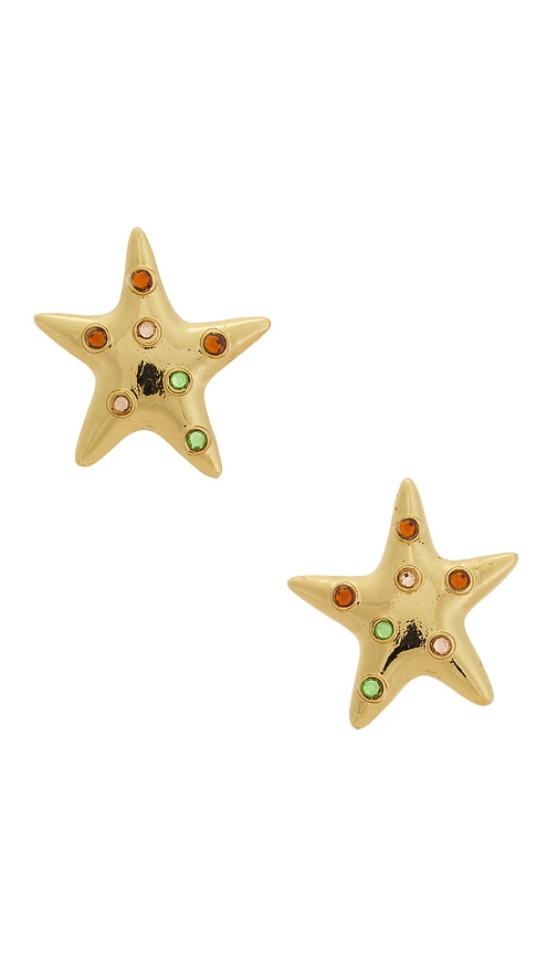 Small Sea Star Earrings