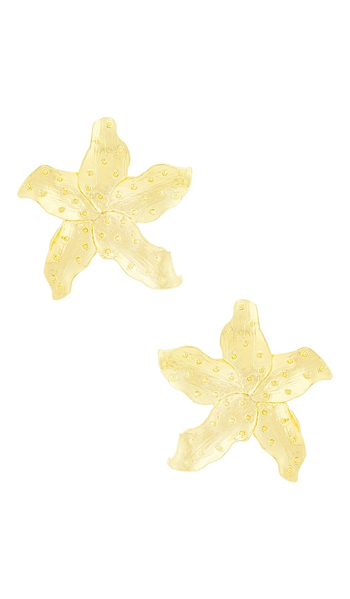 Atafonas Earrings in Metallic - petit moments - Modalova