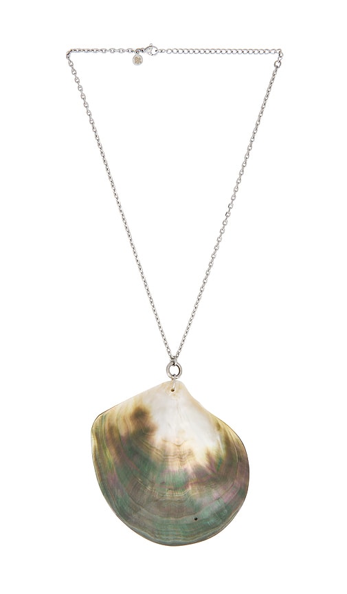 Abalone Shell Necklace in Metallic Silver.