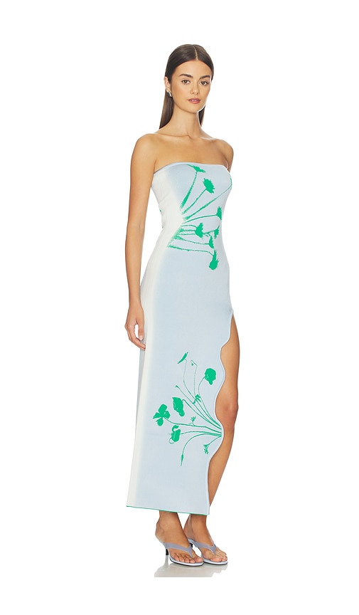  Ph5 Kleid Iris Flower Print Maxi Tank In Baby Blue. Größe Xs. Also In S, M, L, Xl. 
