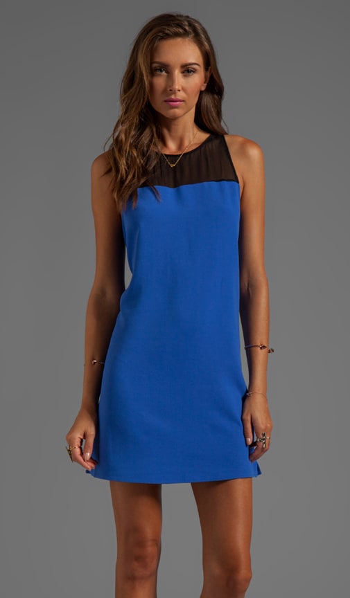 Pipsy Sheer Dress