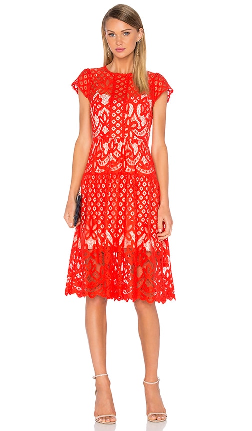 Parker Talulah Dress in Flare