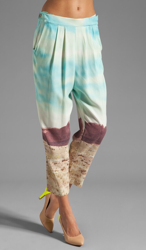 Photo Realistic Silk Prints Cropped Convertible Pant