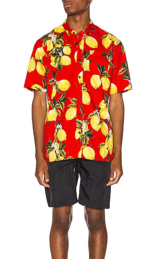 Ezar Button Up Shirt