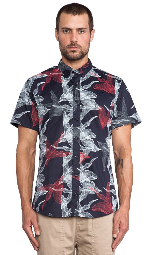 Eden Button Down
