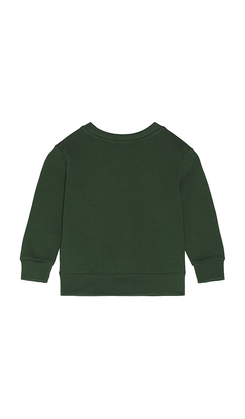 Polo Ralph Lauren Long Sleeve Fleece Bear Graphic Crewneck Sweatshirt In Green