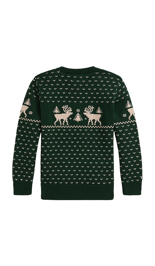 Polo Ralph Lauren Long Sleeve Intarsia Reindeer Sweater Coverall In Green