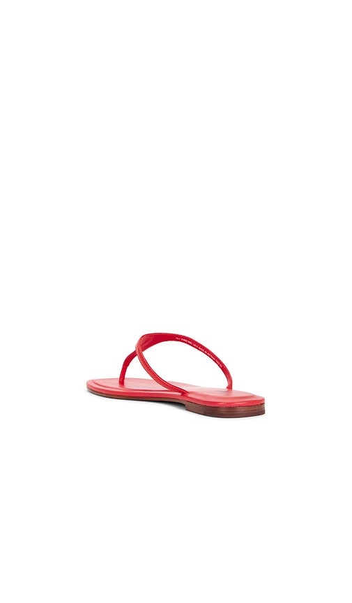  Polo Ralph Lauren Sandalias Planas Tipo Thong De Napa. En Color Rojo Talla 6  (también En 7, 8, 8.5, 9). 