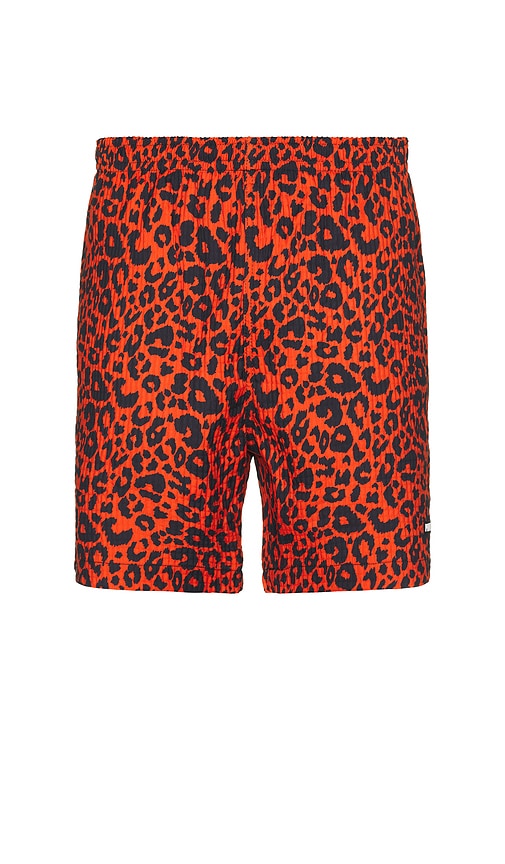 Leopard Active Shorts in Red. - size M (also in L, XL/1X)