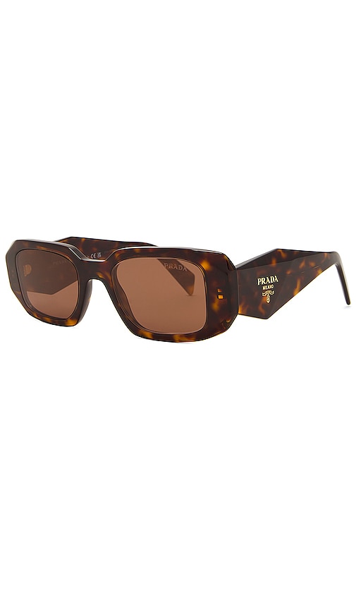 Shop Prada Oval Frame Sunglasses In Brown