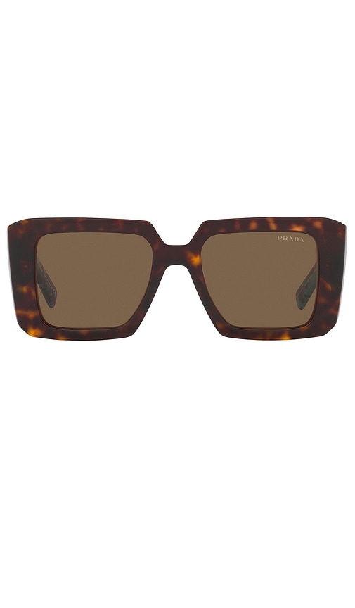 Prada Square Sunglasses In Brown