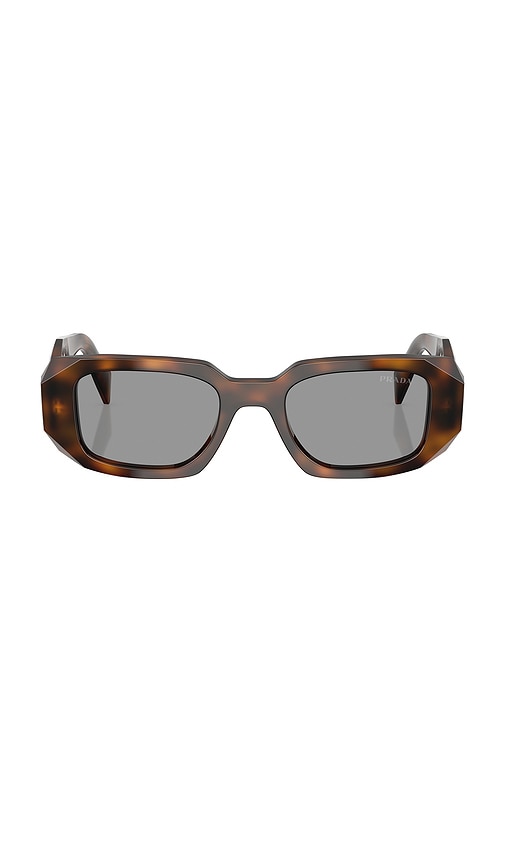 Prada Rectangle Sunglasses in Juniper Tortoise