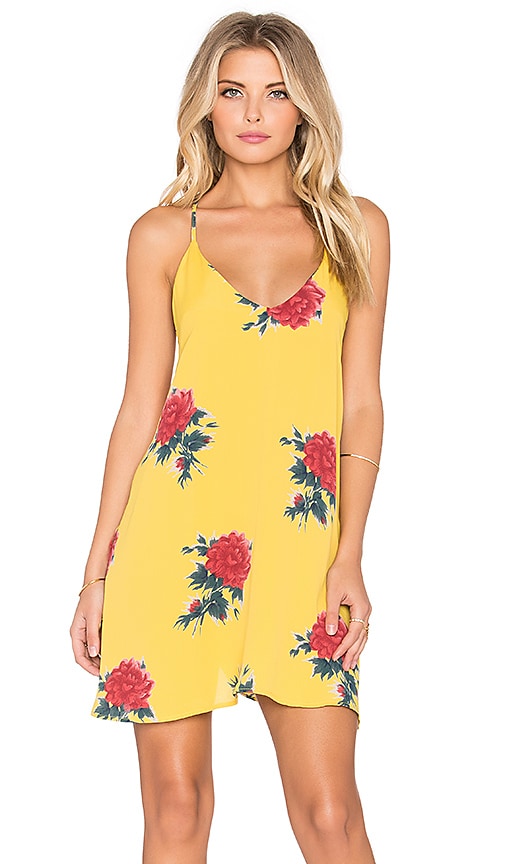 Bristol Swing Dress