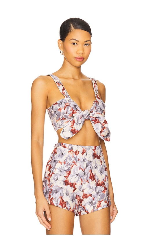 Posse Luna Bandeau Top In Multi