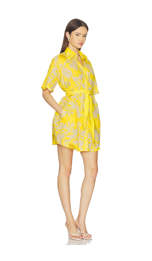 Poupette St Barth Wes Mini Dress In Yellow