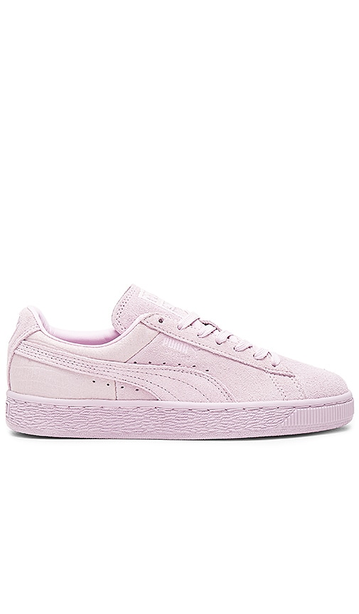 lilac pumas