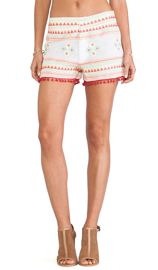 Embroidered Shorts