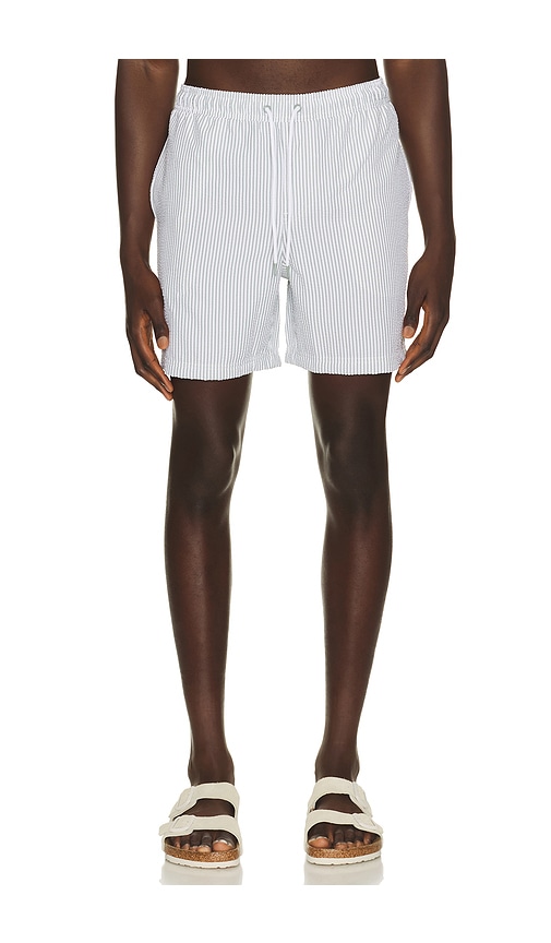 Rails La Brea Swim Trunks
