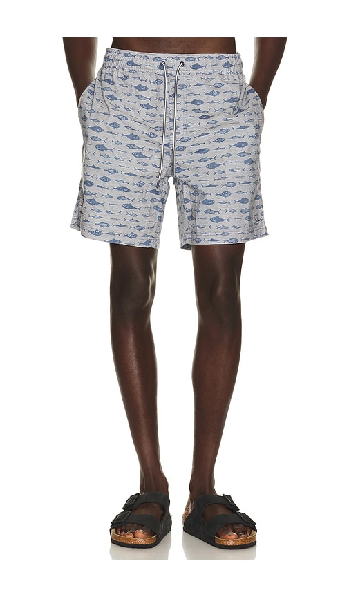 Rails Dane Swim Trunks