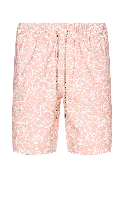 Rails Men's Kian Shadow Palms Wide-leg Swim Shorts In Serenity Dusty Rose