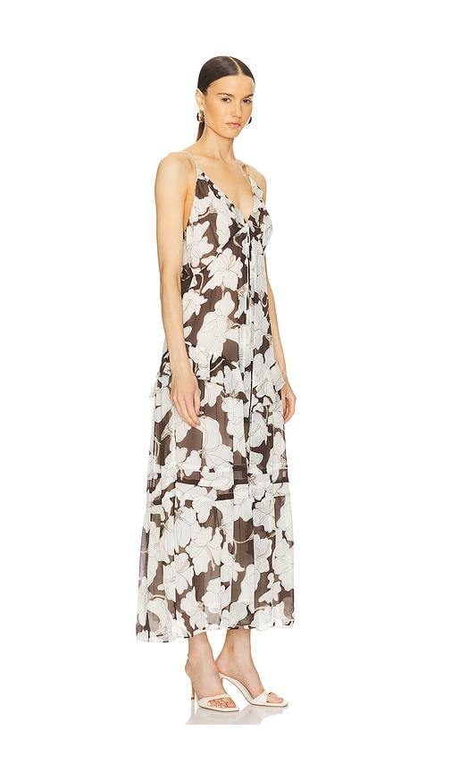 Shop Rails Boa Maxi Dress In Brown