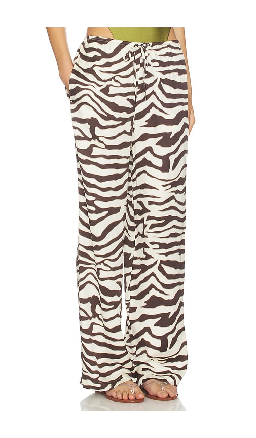 Rails Damani Drawstring Pants In Brown