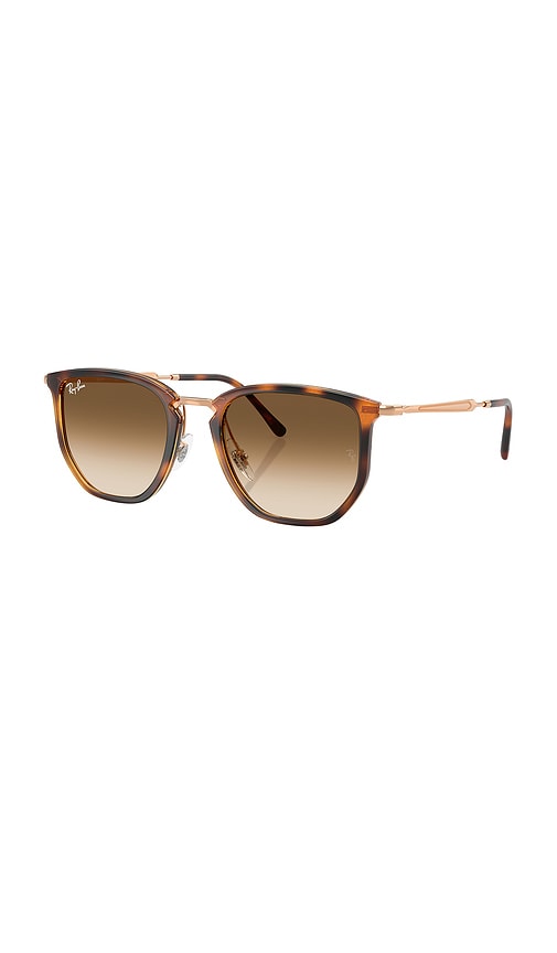 Ray Ban Round Sunglasses In Brown