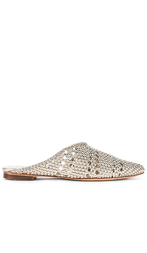 ZAPATO PLANO SHADE