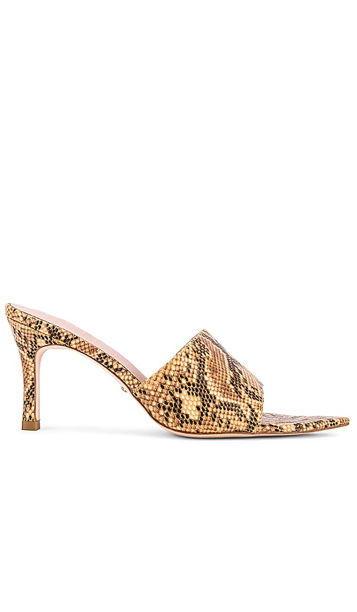Evan Heel