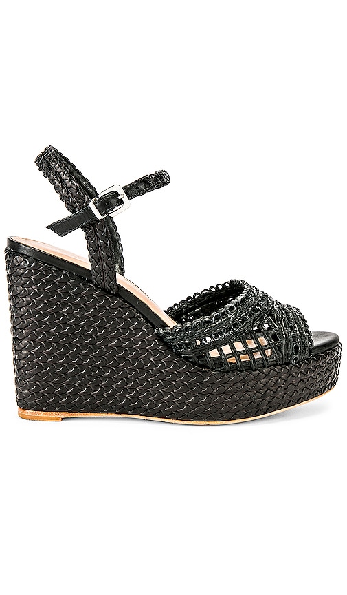 Clemente Wedge