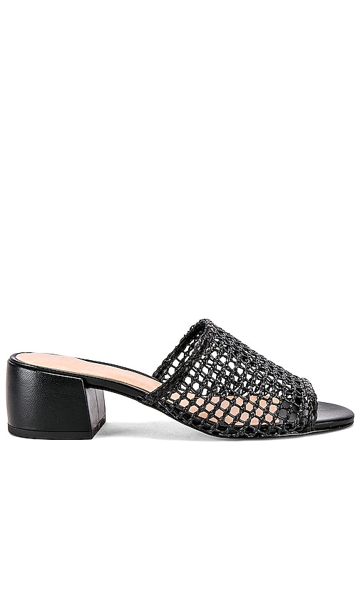 Lou Heel