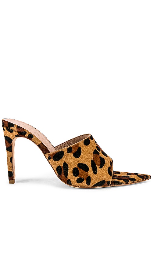 Oliver Heel
